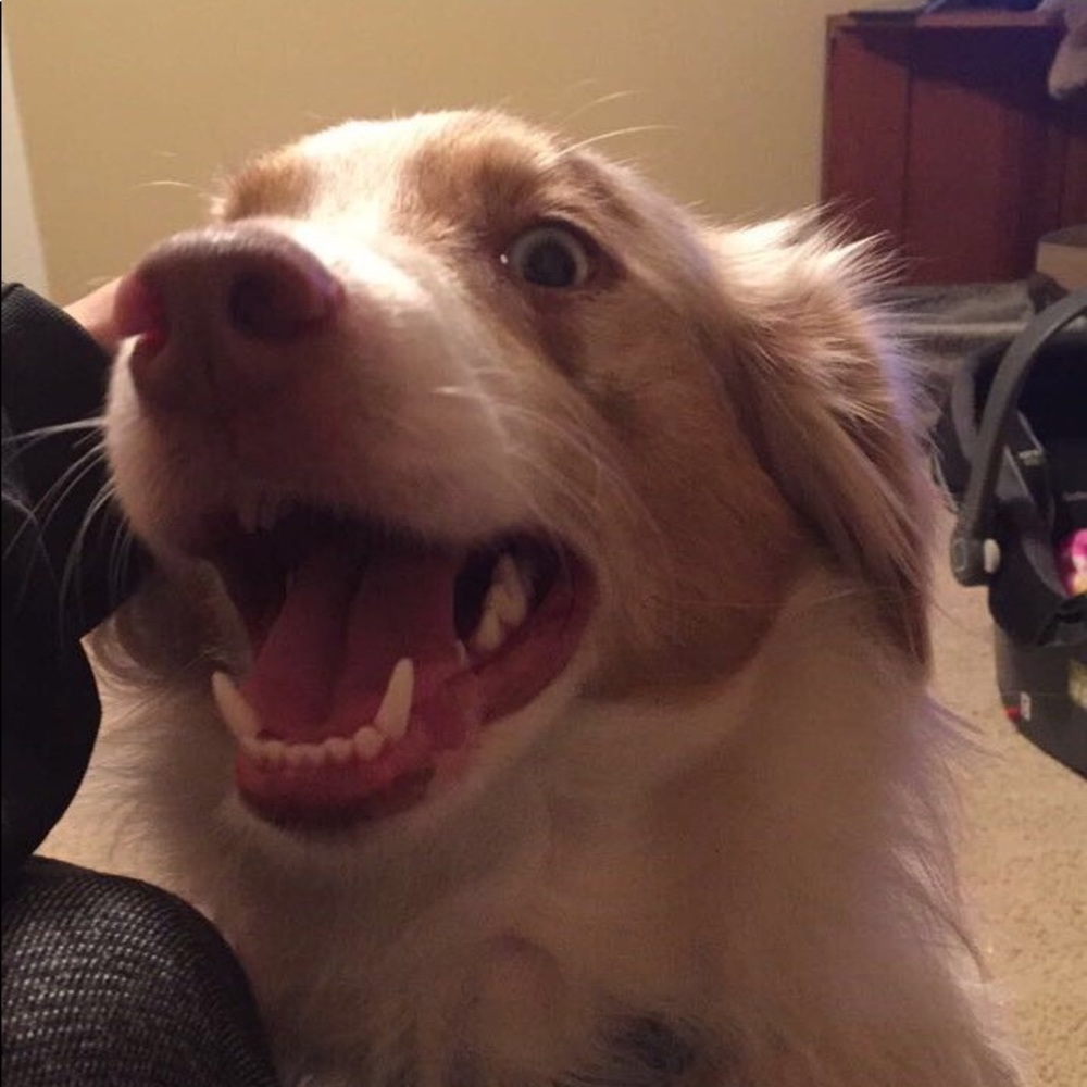 Meet your Posher, Kalee